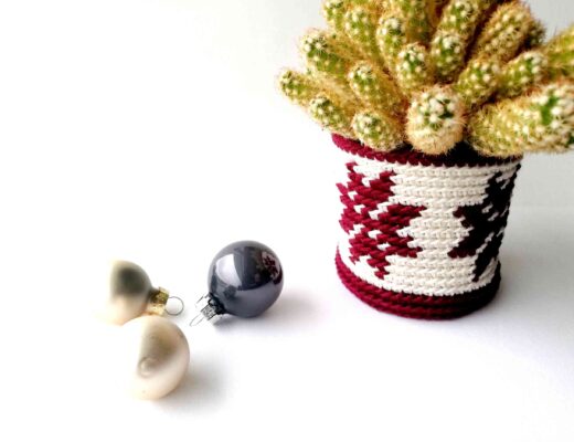 Plant pot cozy with Christmas flowers