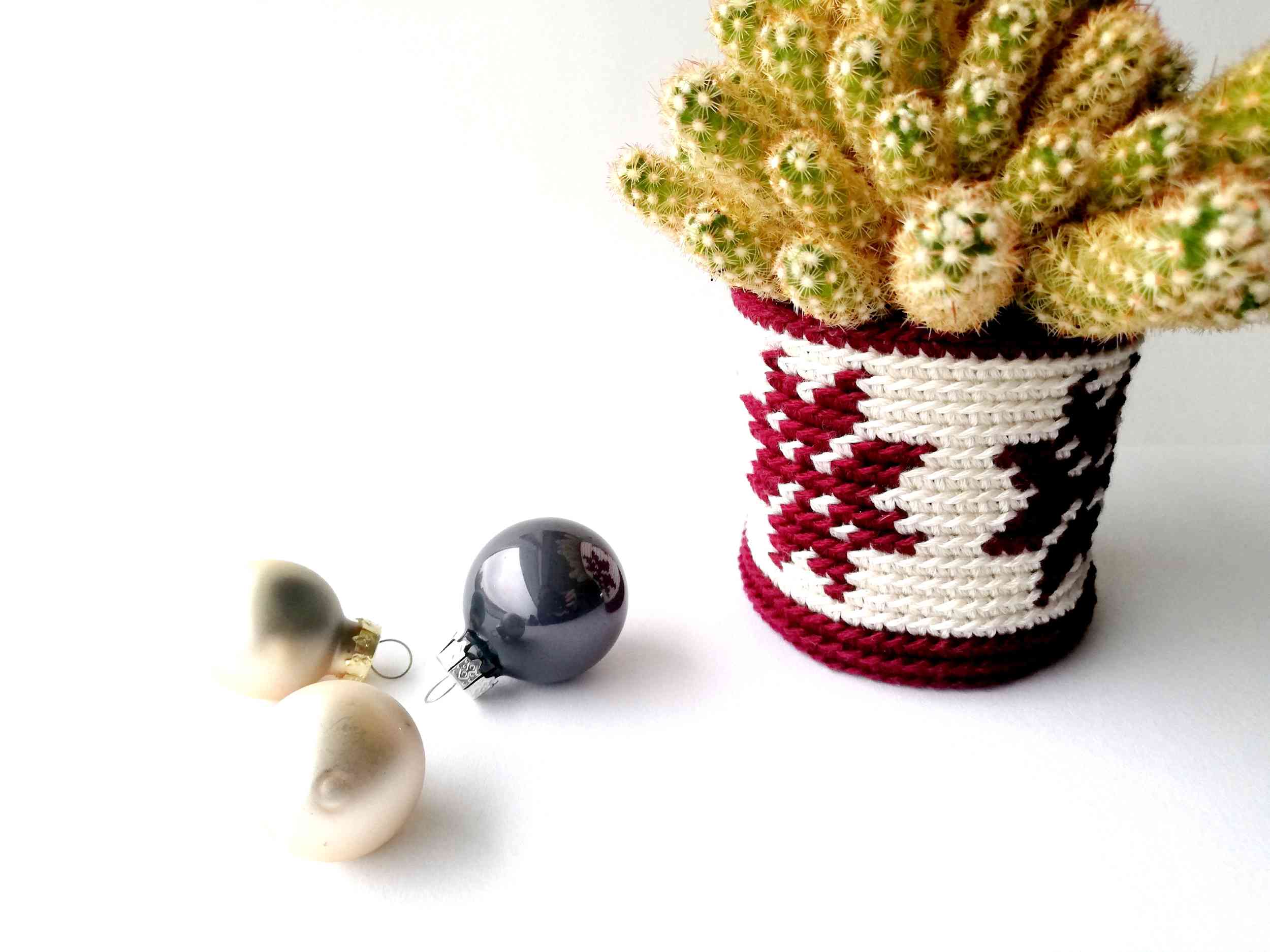 Plant pot cozy with Christmas flowers