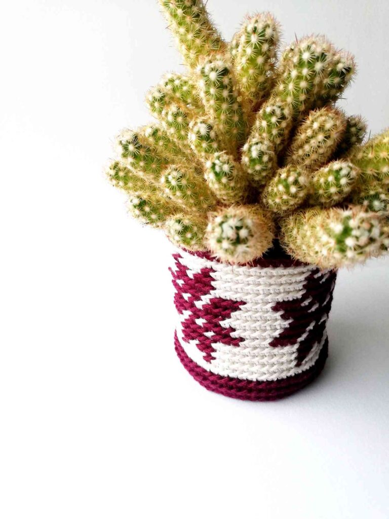Plant pot cozy with Christmas flowers
