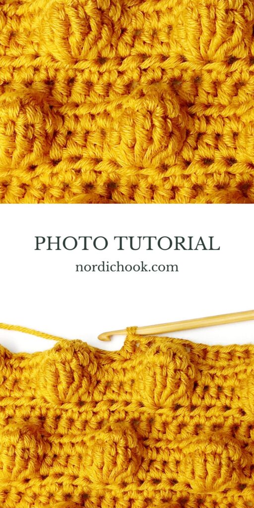 Crochet stitch tutorial: Chestnut stitch